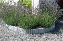 DSCN0089